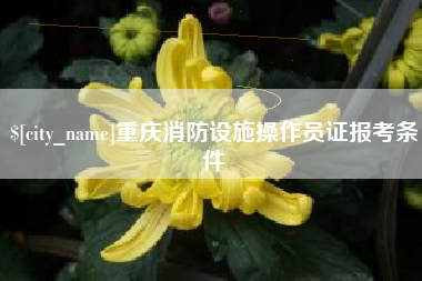 武安重庆消防设施操作员证报考条件