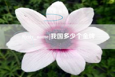武安我国多少个金牌