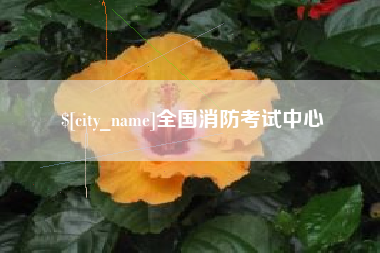 武安全国消防考试中心
