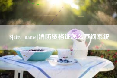 武安消防资格证怎么查询系统