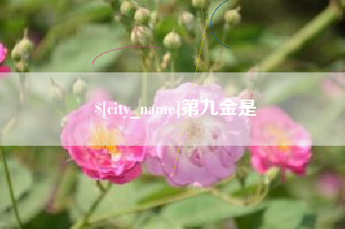 武安第九金是