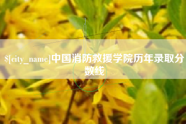 武安中国消防救援学院历年录取分数线
