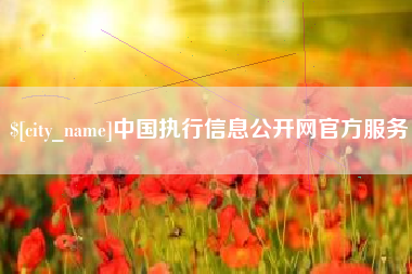 武安中国执行信息公开网官方服务