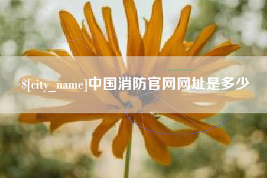 武安中国消防官网网址是多少