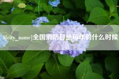 武安全国消防日是每年的什么时候