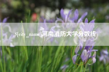 武安河南消防大学分数线
