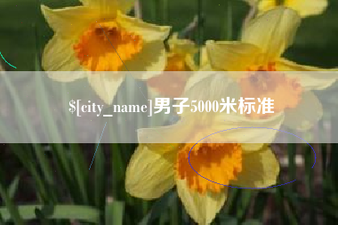 武安男子5000米标准
