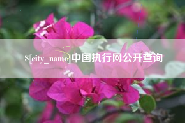 武安中国执行网公开查询
