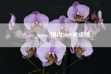 武安国内5000米成绩