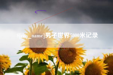 武安男子世界5000米记录