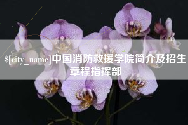 武安中国消防救援学院简介及招生章程指挥部