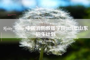 武安中国消防救援学院2021年山东招生计划