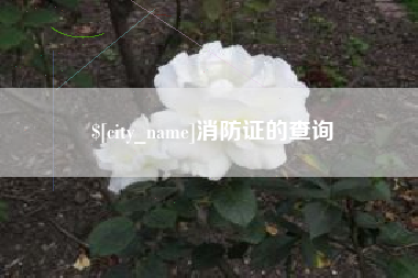 武安消防证的查询