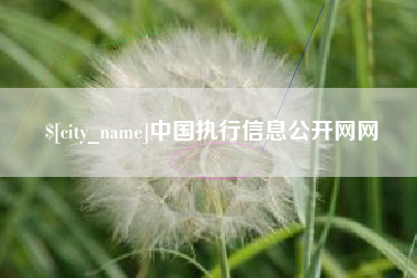 武安中国执行信息公开网网