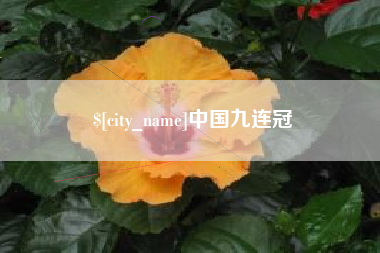 武安中国九连冠