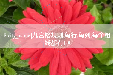 武安九宫格规则,每行,每列,每个粗线都有1-9