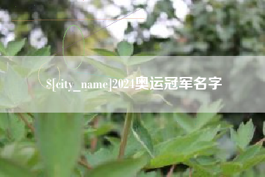 武安2024奥运冠军名字