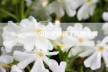 武安中国金牌得了几枚金牌