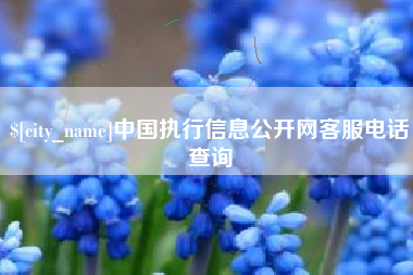 武安中国执行信息公开网客服电话查询