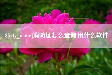 武安消防证怎么查询,用什么软件