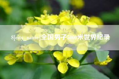 武安全国男子5000米世界纪录