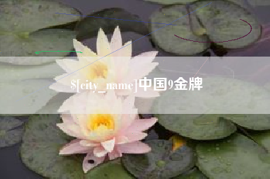 武安中国9金牌
