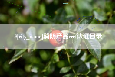 武安消防产品cccf认证目录