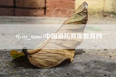 武安中国消防救援教育网
