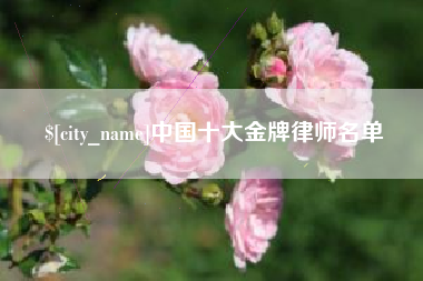 武安中国十大金牌律师名单
