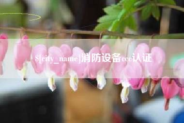 武安消防设备ccc认证