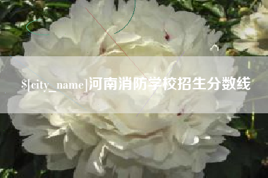 武安河南消防学校招生分数线