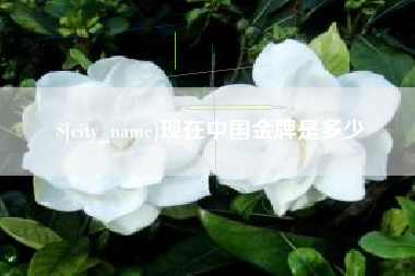武安现在中国金牌是多少