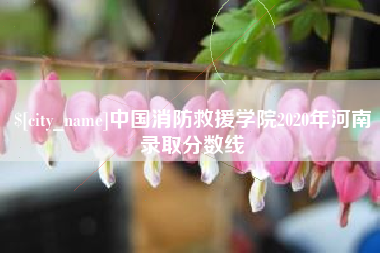 武安中国消防救援学院2020年河南录取分数线