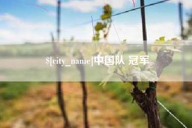 武安中国队 冠军