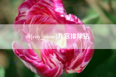 武安九宫排除法