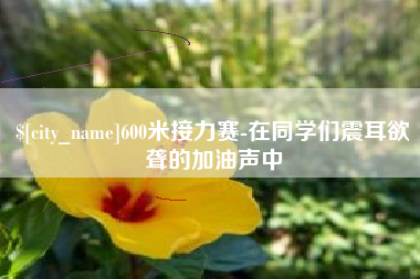 武安600米接力赛-在同学们震耳欲聋的加油声中