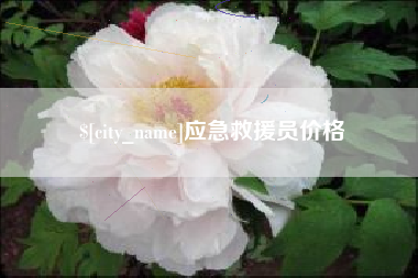 武安应急救援员价格