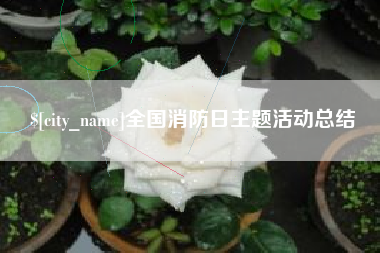 武安全国消防日主题活动总结