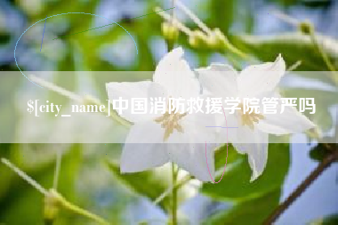 武安中国消防救援学院管严吗