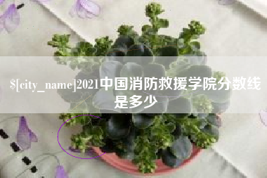 武安2021中国消防救援学院分数线是多少