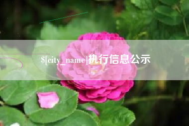 武安执行信息公示