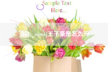 武安王子豪是怎么写