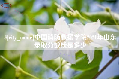 武安中国消防救援学院2021年山东录取分数线是多少