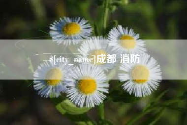 武安成都 消防