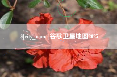 武安谷歌卫星地图2025