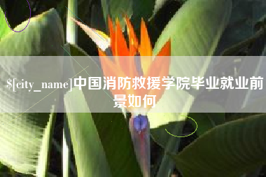 武安中国消防救援学院毕业就业前景如何