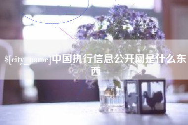 武安中国执行信息公开网是什么东西