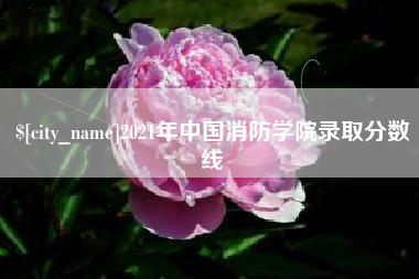 武安2021年中国消防学院录取分数线
