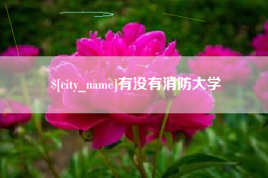 武安有没有消防大学