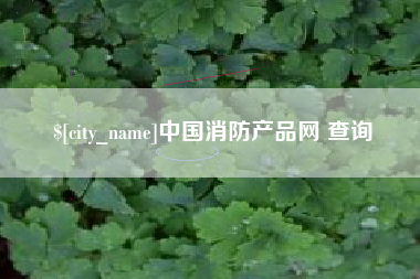 武安中国消防产品网 查询